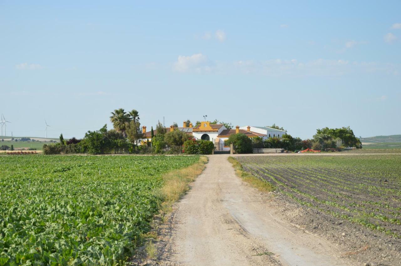 Cortijo Las Manoteras 圣玛丽亚港 外观 照片